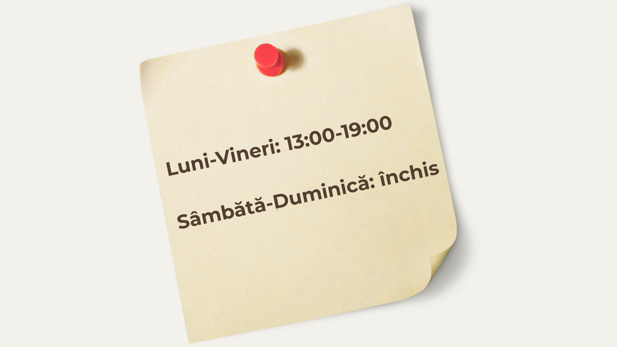 program cursuri germana cu rost